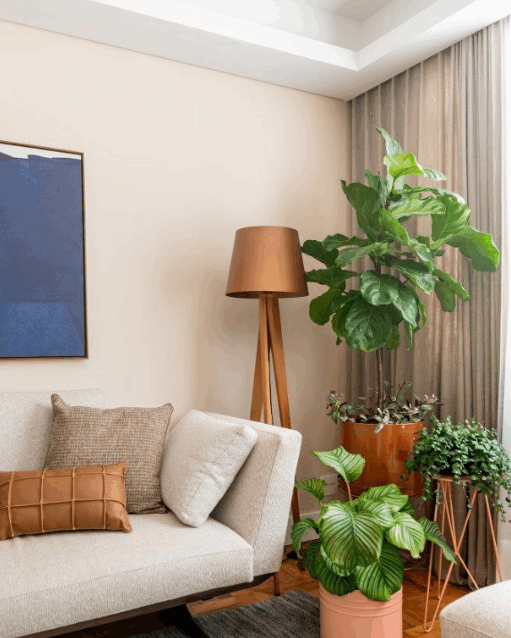 Como decorar sua casa com plantas: paisagismo de interiores