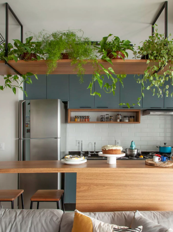 Como decorar sua casa com plantas paisagismo de interiores