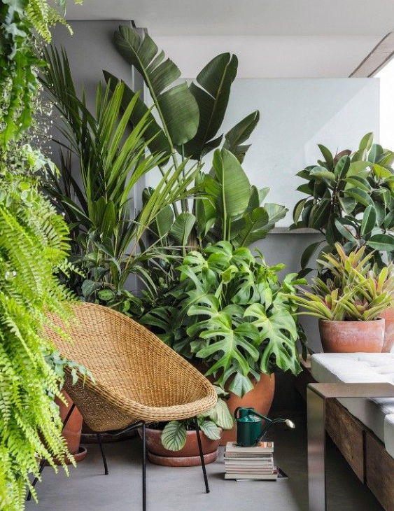 Como decorar sua casa com plantas paisagismo de interiores