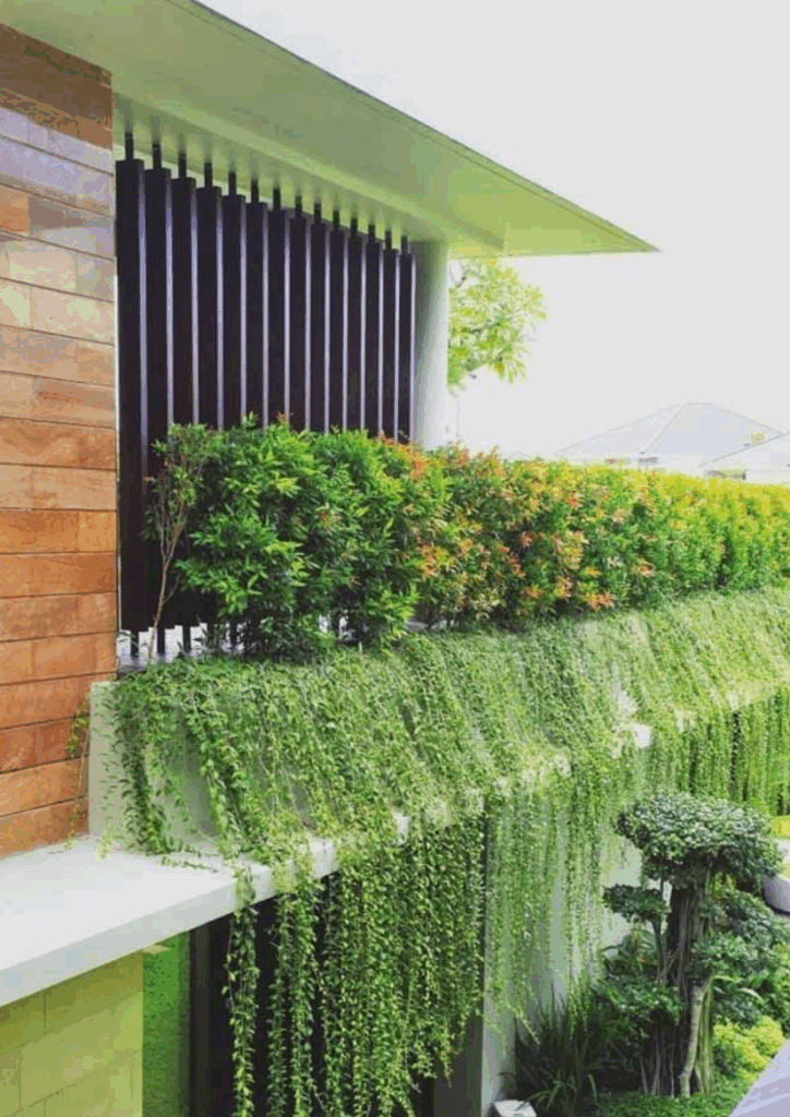 Telhados verdes e jardins verticais benefícios e aplicações