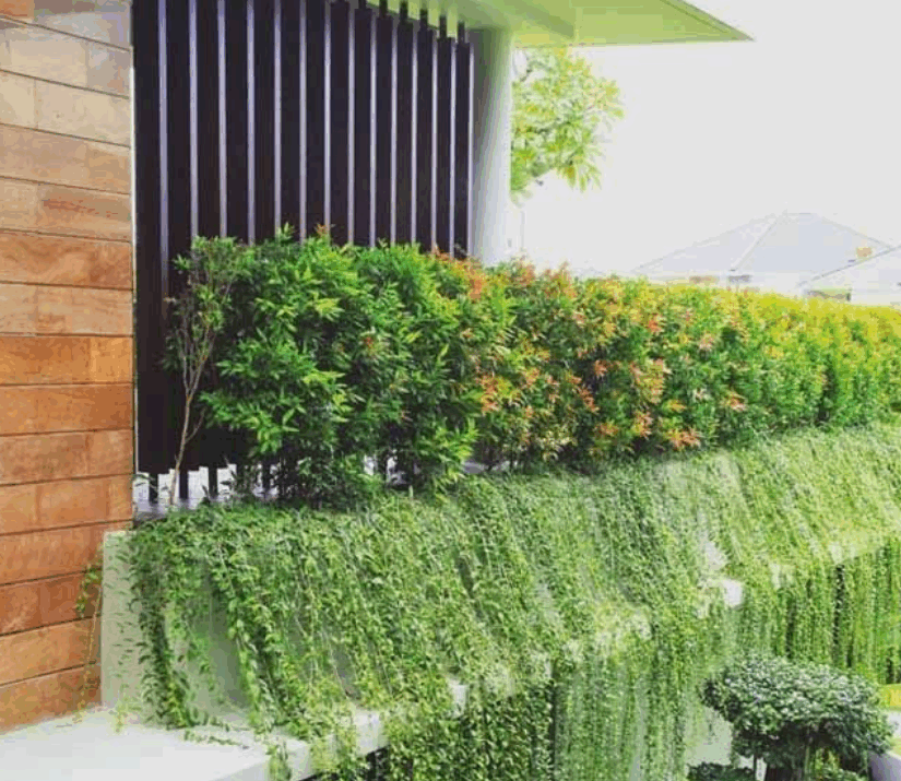 Telhados verdes e jardins verticais: benefícios e aplicações