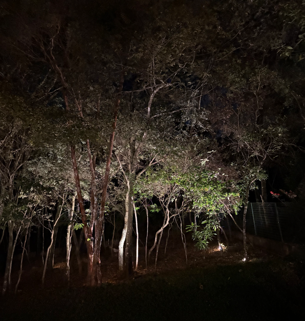 Área de preservação sendo iluminada para criar mais profundidade