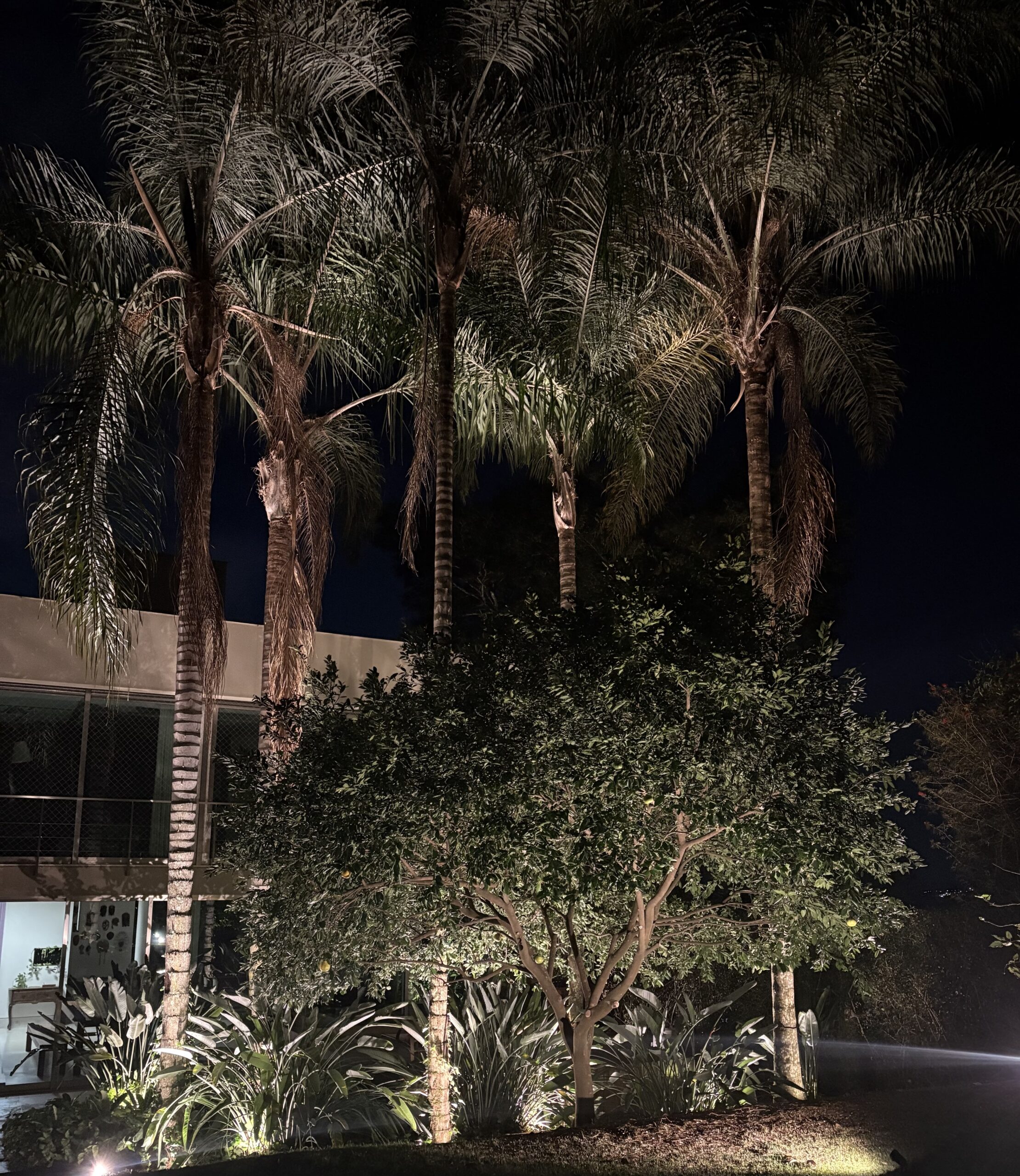 Iluminação jardim residência QS