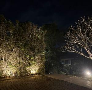 Parte interna da fachada sendo iluminada