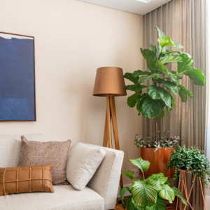Como decorar sua casa com plantas paisagismo de interiores