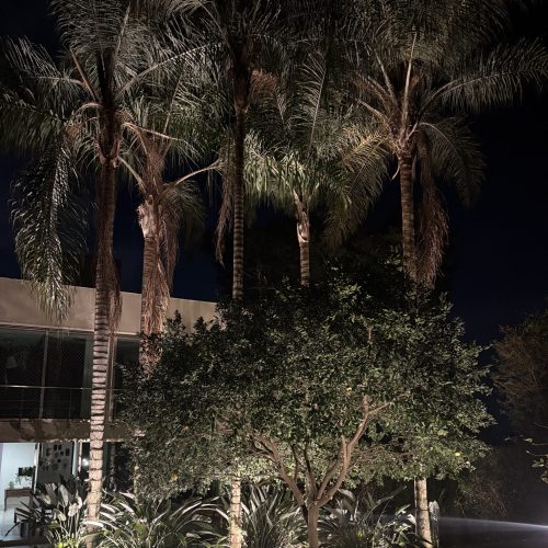 Iluminação jardim residência QS