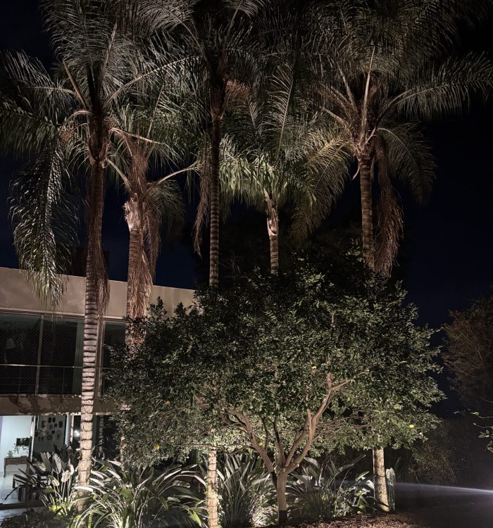 Iluminação jardim residência QS