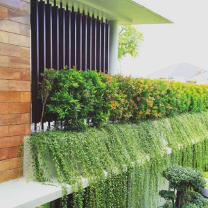 Telhados verdes e jardins verticais benefícios e aplicações